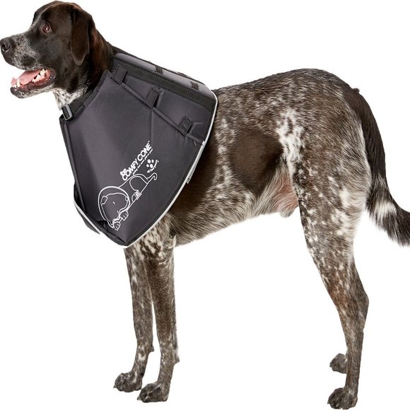 Comfy Cone Collar for Dogs & Cats, Black L medical no-scratch - Picture 1 of 5